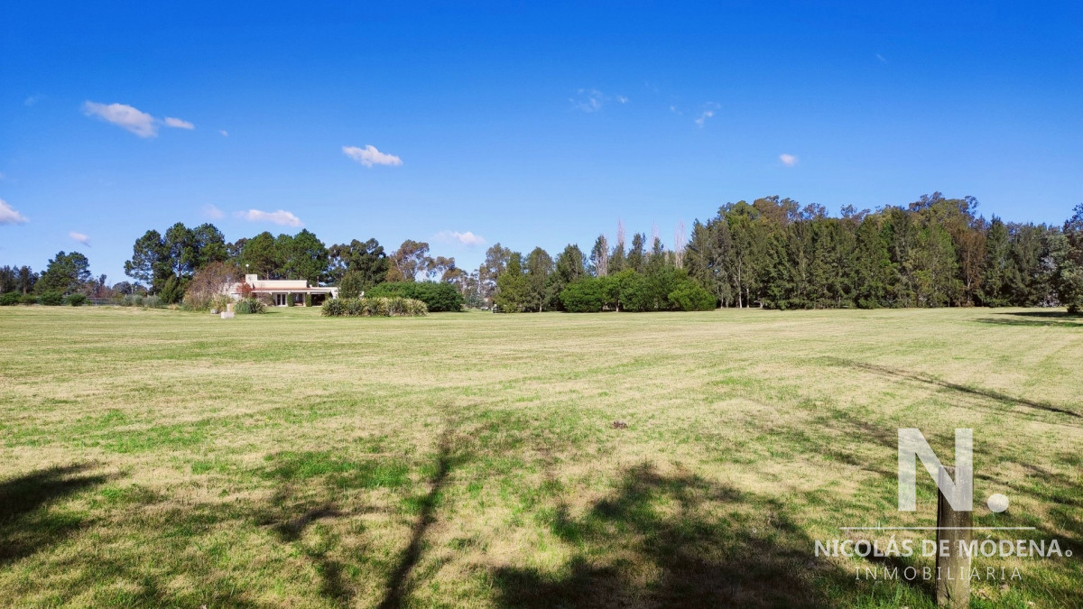 El Quijote - GoPunta - Portal Inmobiliario de Punta del Este - Maldonado