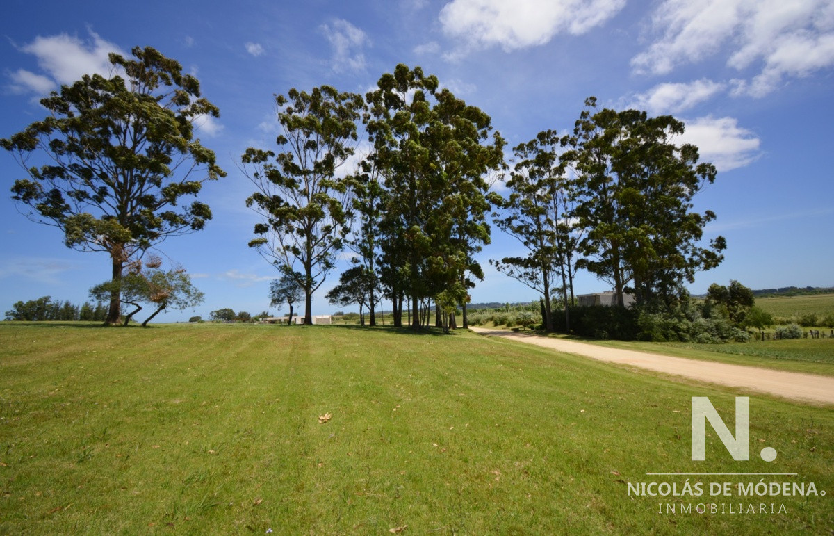 El Quijote - GoPunta - Portal Inmobiliario de Punta del Este - Maldonado