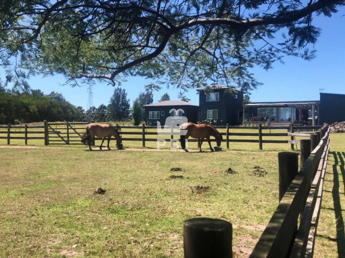 El Quijote - GoPunta - Portal Inmobiliario de Punta del Este - Maldonado