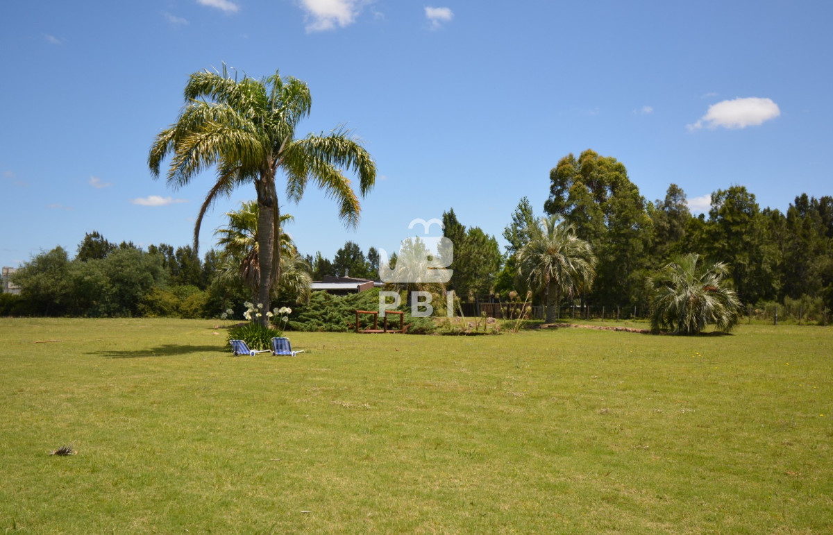 El Quijote - GoPunta - Portal Inmobiliario de Punta del Este - Maldonado