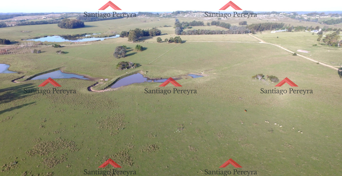 Campo Ref.6789 - Venta de Excelente Campo - Chacra Maritima - La Barra - Punta del Este