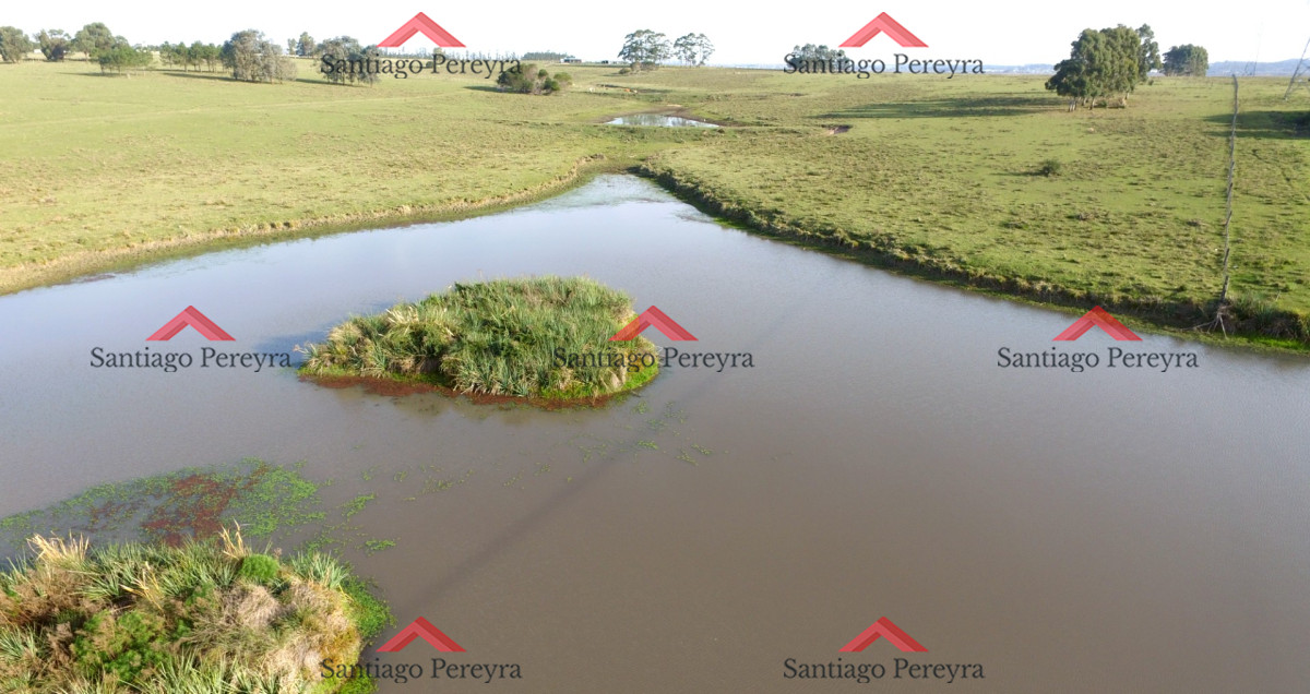 Campo Ref.6790 - Venta de Excelente Campo - Chacra Maritima - La Barra - Punta del Este