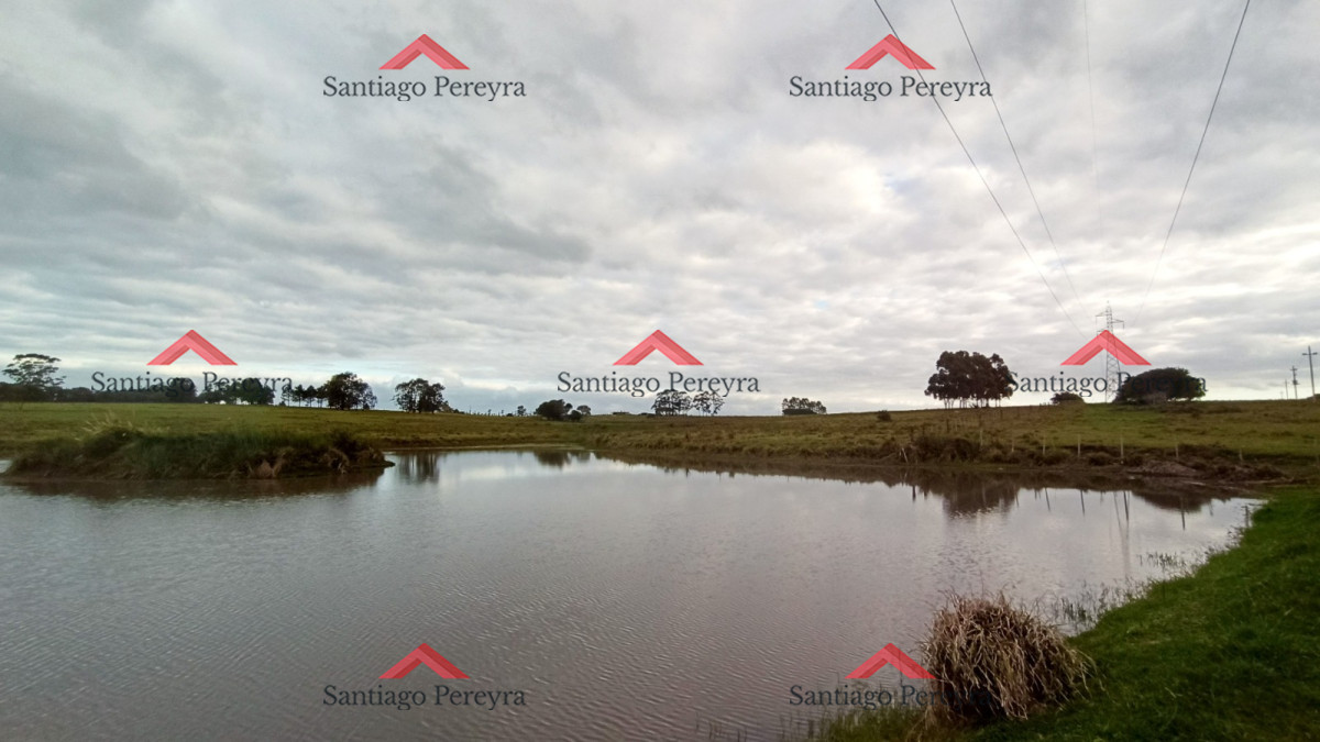 Campo Ref.6790 - Venta de Excelente Campo - Chacra Maritima - La Barra - Punta del Este