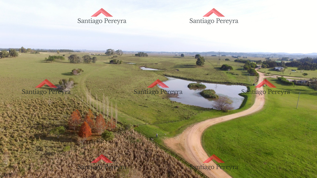 Campo Ref.6790 - Venta de Excelente Campo - Chacra Maritima - La Barra - Punta del Este