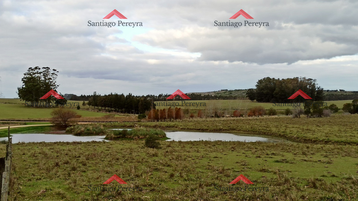 Campo Ref.6789 - Venta de Excelente Campo - Chacra Maritima - La Barra - Punta del Este