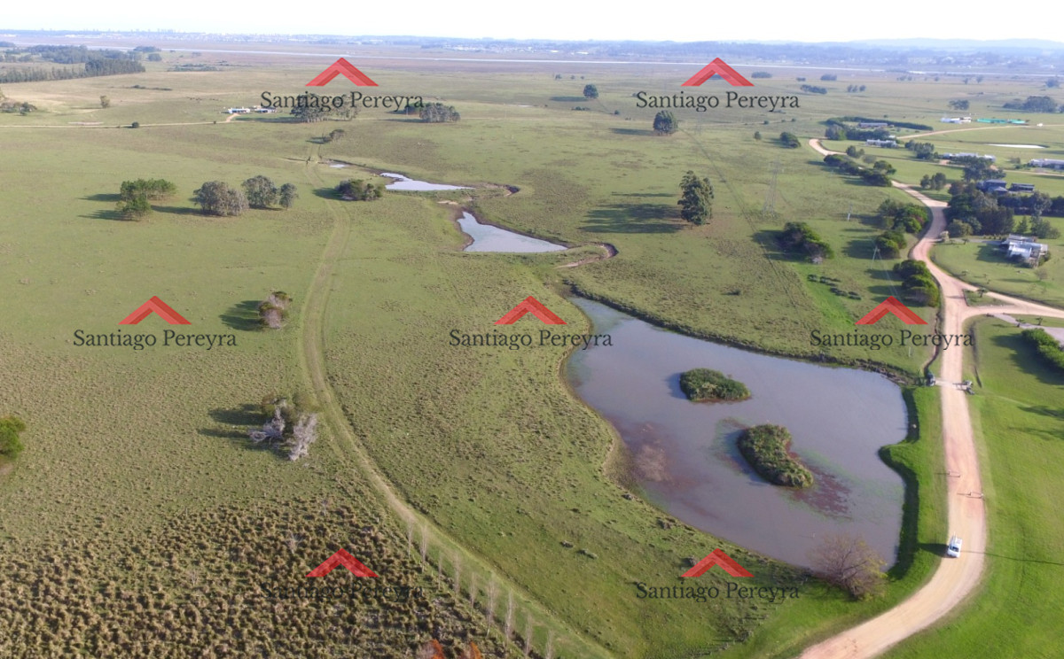 Campo Ref.6790 - Venta de Excelente Campo - Chacra Maritima - La Barra - Punta del Este
