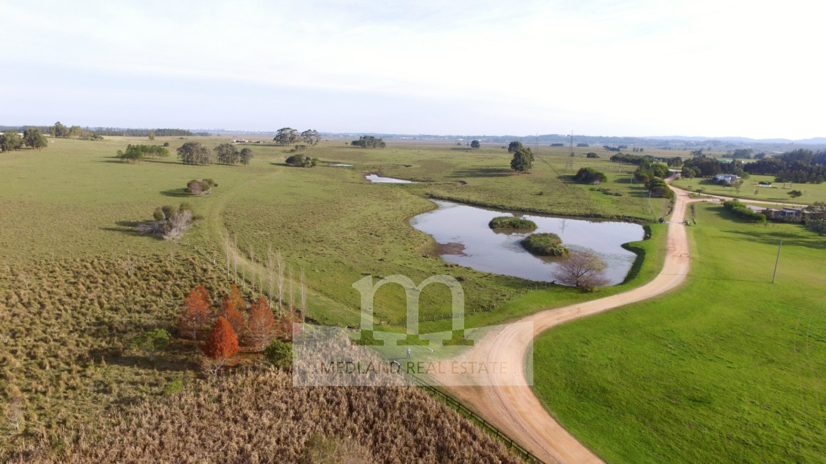 Campo Ref.215 - Venta de Excelente Campo - Chacra Maritima - La Barra - Punta del Este
