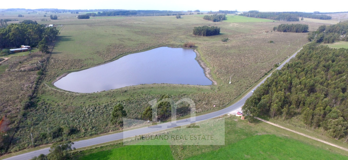 Campo Ref.223 - Venta de Excelente Campo - San Carlos - La Barra - Punta del Este