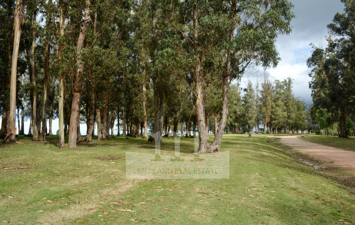 Terreno ID.295 - Hermoso Terreno en El Quijote Chacras