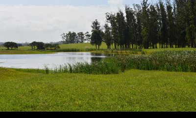 Venta Terreno en El Quijote Chacras junto a la Laguna