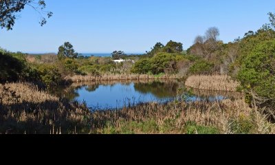 Venta Hermosa Chacra con Tajamar y Vista al Mar