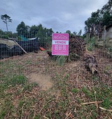 Terreno 300m2