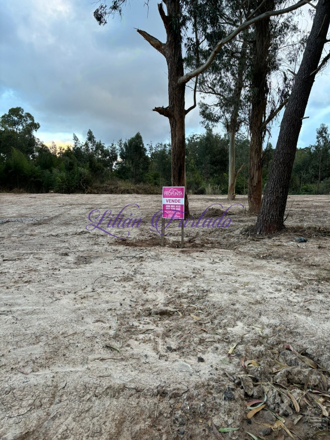 Rincón del Indio - GoPunta - Portal Inmobiliario de Punta del Este - Maldonado