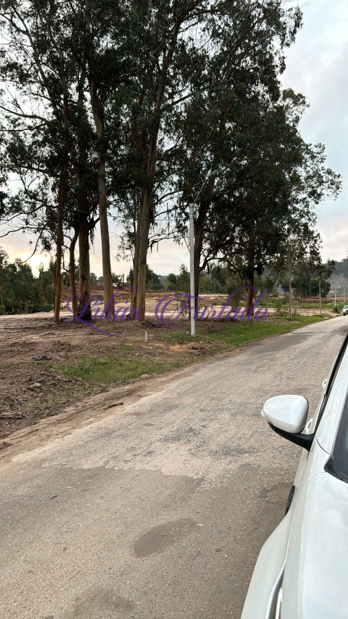 Rincón del Indio - GoPunta - Portal Inmobiliario de Punta del Este - Maldonado