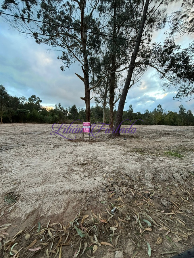 Rincón del Indio - GoPunta - Portal Inmobiliario de Punta del Este - Maldonado