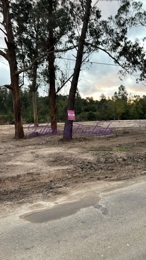 Rincón del Indio - GoPunta - Portal Inmobiliario de Punta del Este - Maldonado