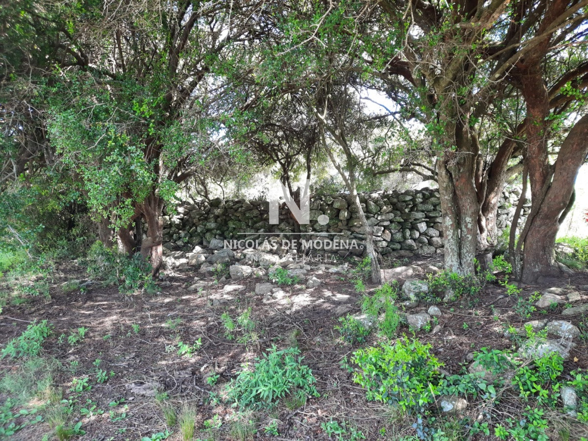 Chacra
