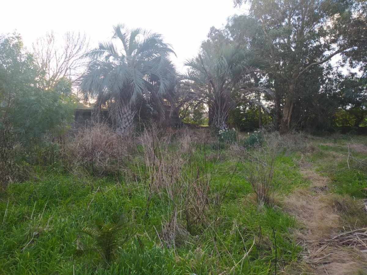 Terreno ID.940 - TERRENO EN EL CHORRO