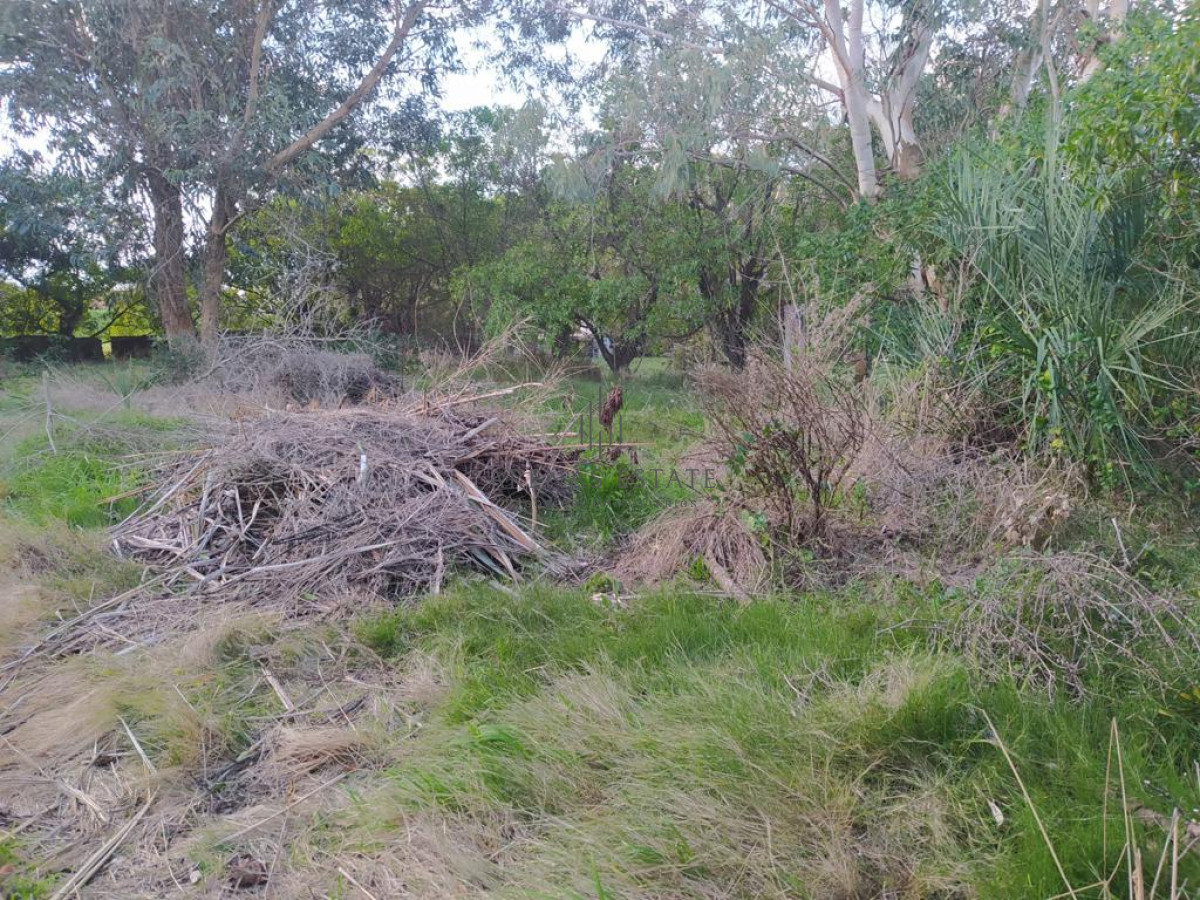 Terreno ID.940 - TERRENO EN EL CHORRO