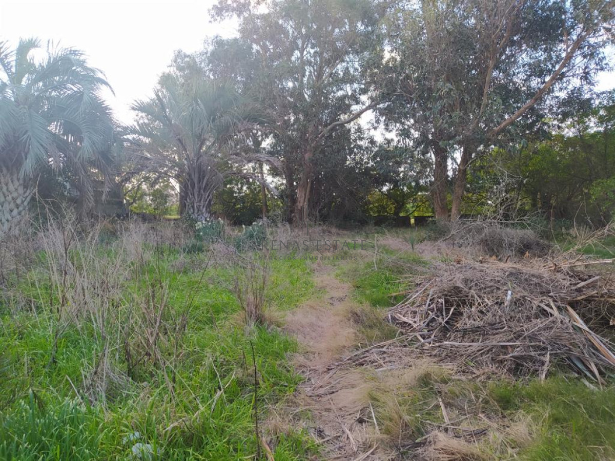 Terreno ID.940 - TERRENO EN EL CHORRO