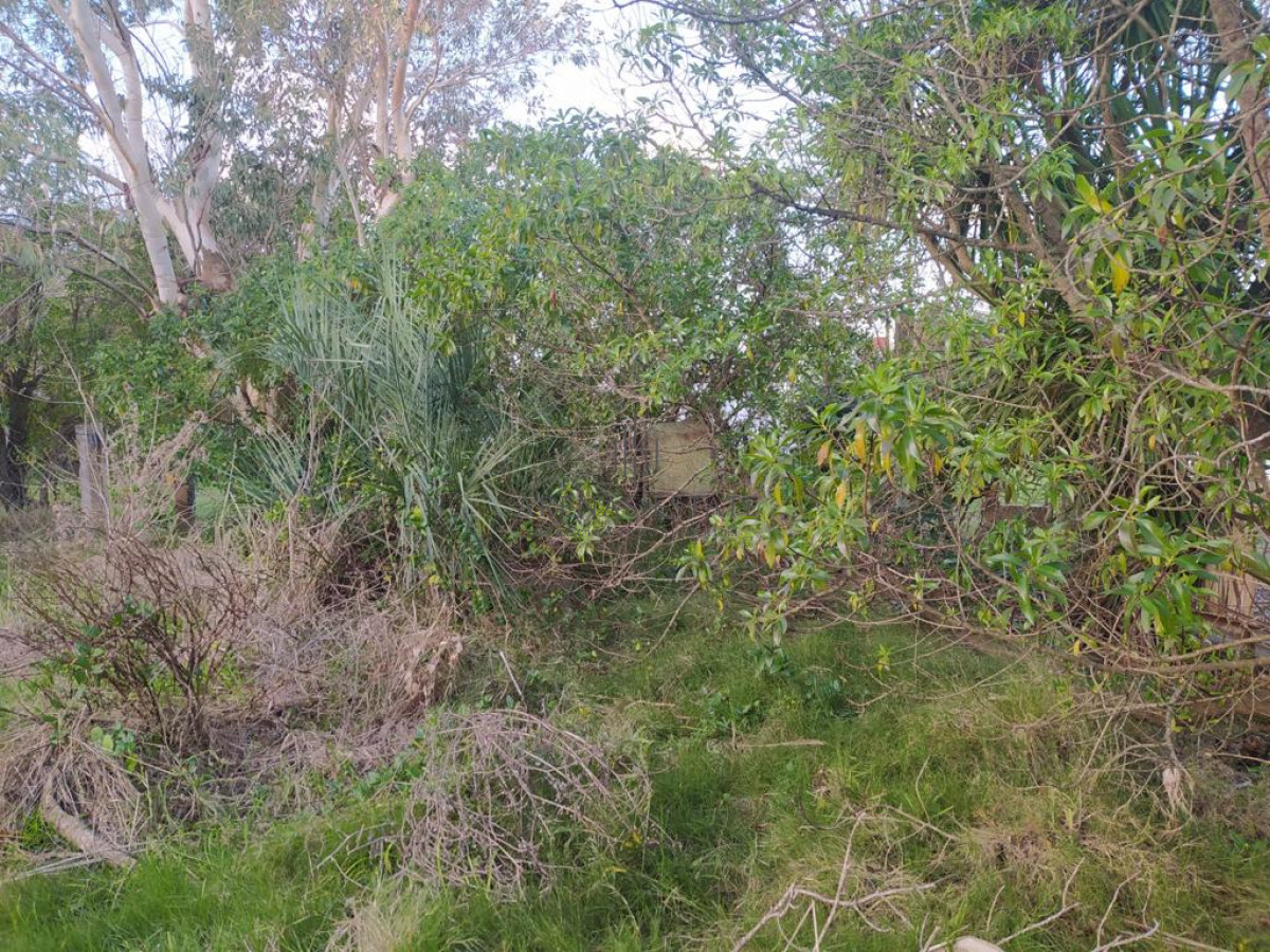 Terreno ID.940 - TERRENO EN EL CHORRO