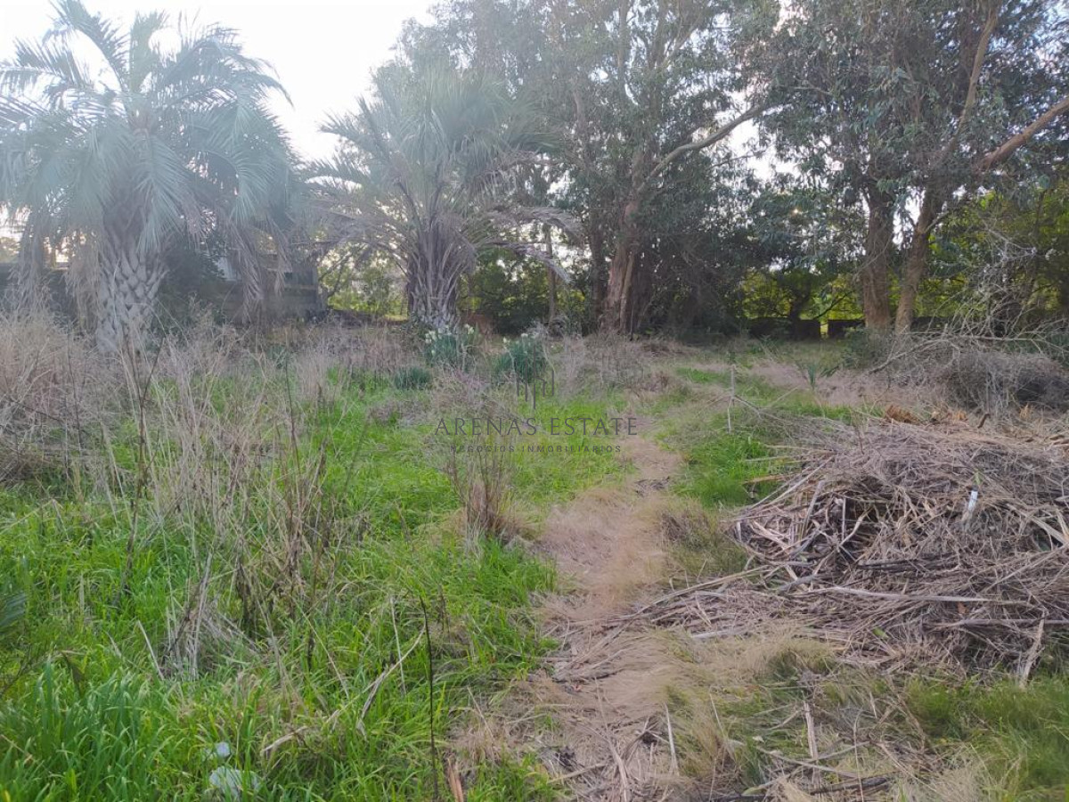 Terreno ID.940 - TERRENO EN EL CHORRO