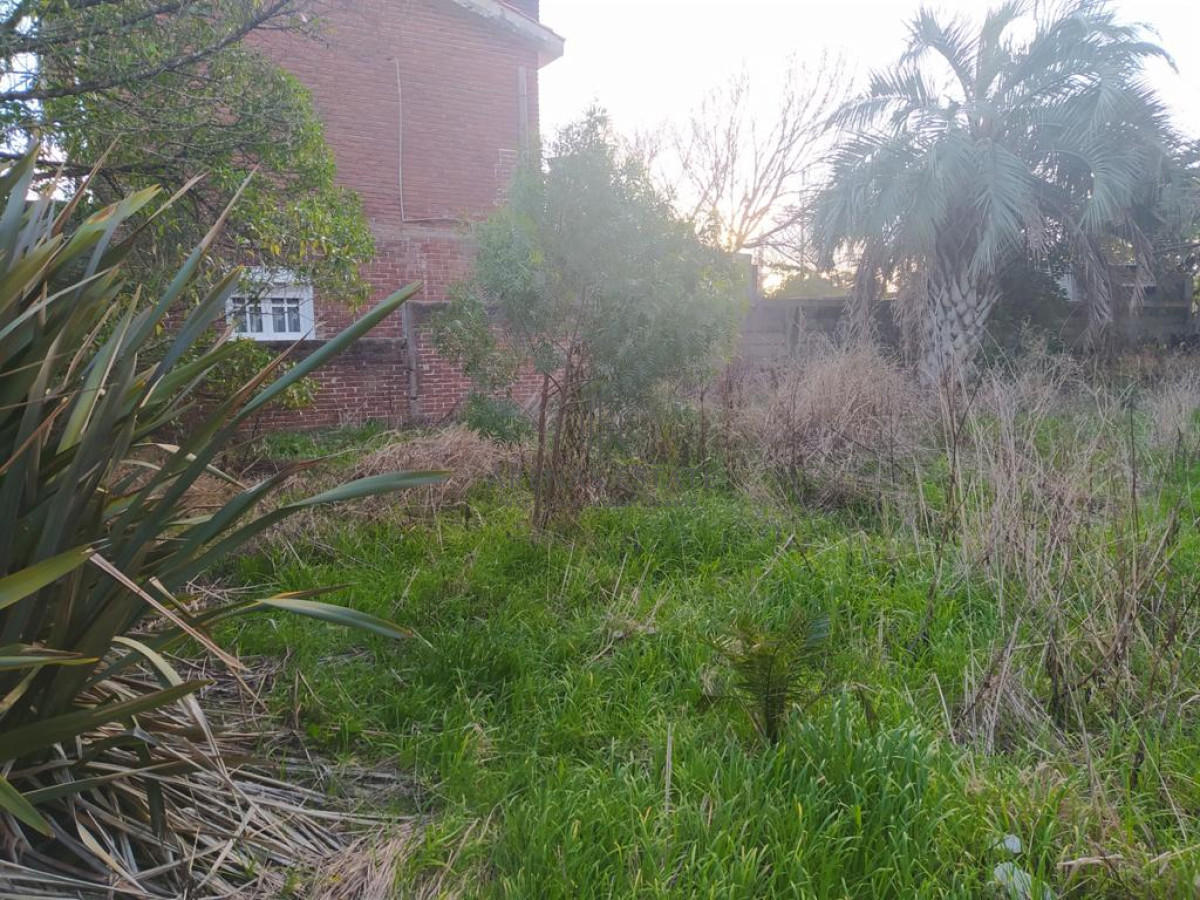 Terreno ID.940 - TERRENO EN EL CHORRO