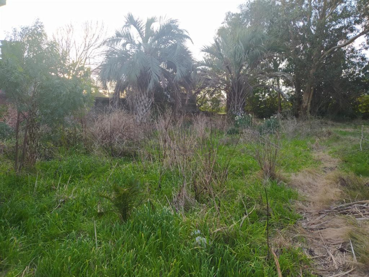 Terreno ID.940 - TERRENO EN EL CHORRO