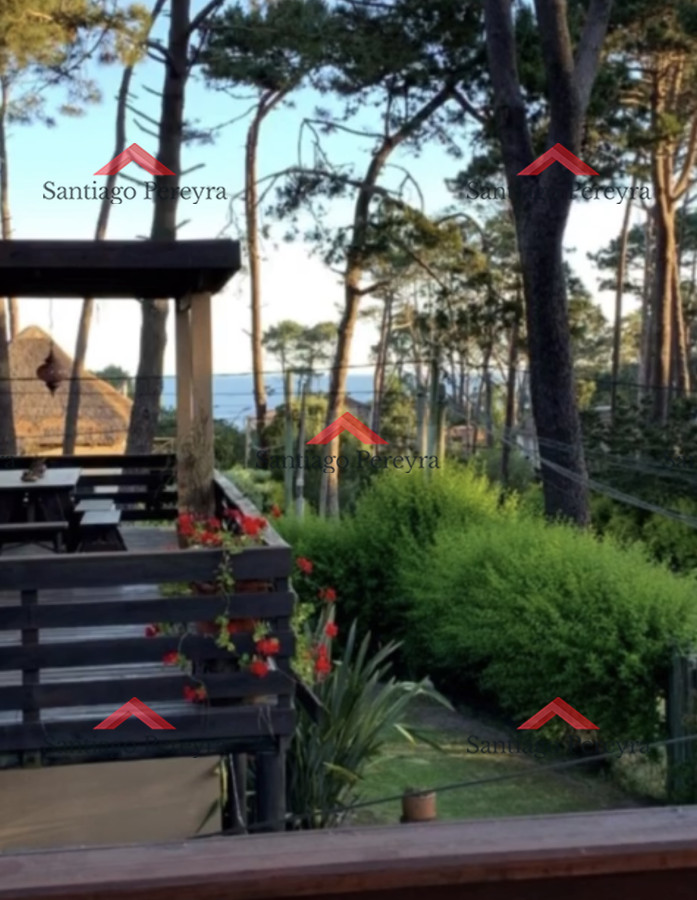 Montoya - GoPunta - Portal Inmobiliario de Punta del Este - Maldonado
