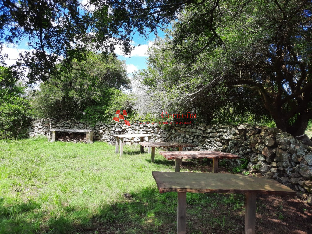 Chacra ID.1830 - LINDA CHACRA DE 5 HAS EN LAS CAÑAS 