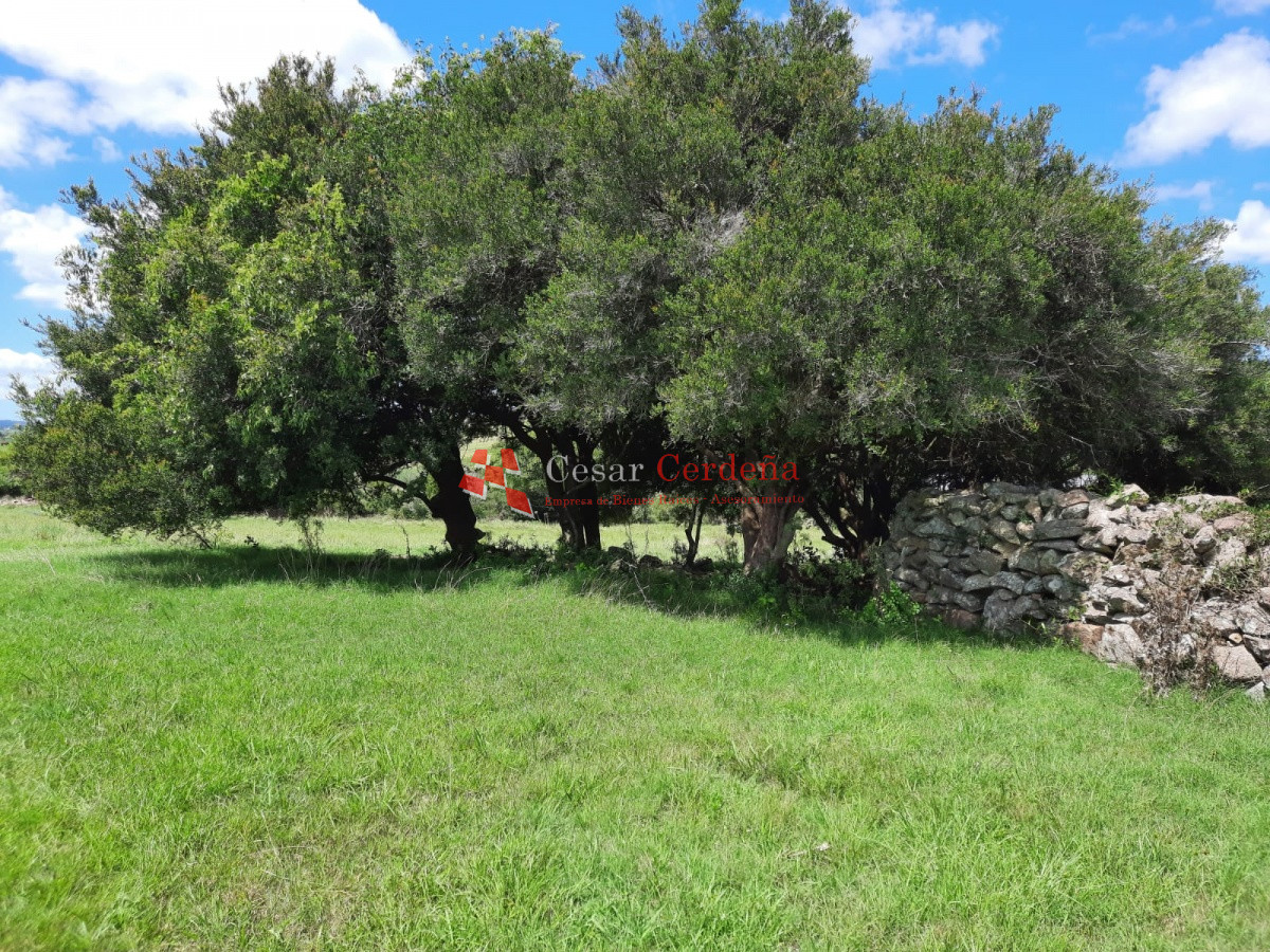 Chacra ID.1830 - LINDA CHACRA DE 5 HAS EN LAS CAÑAS 