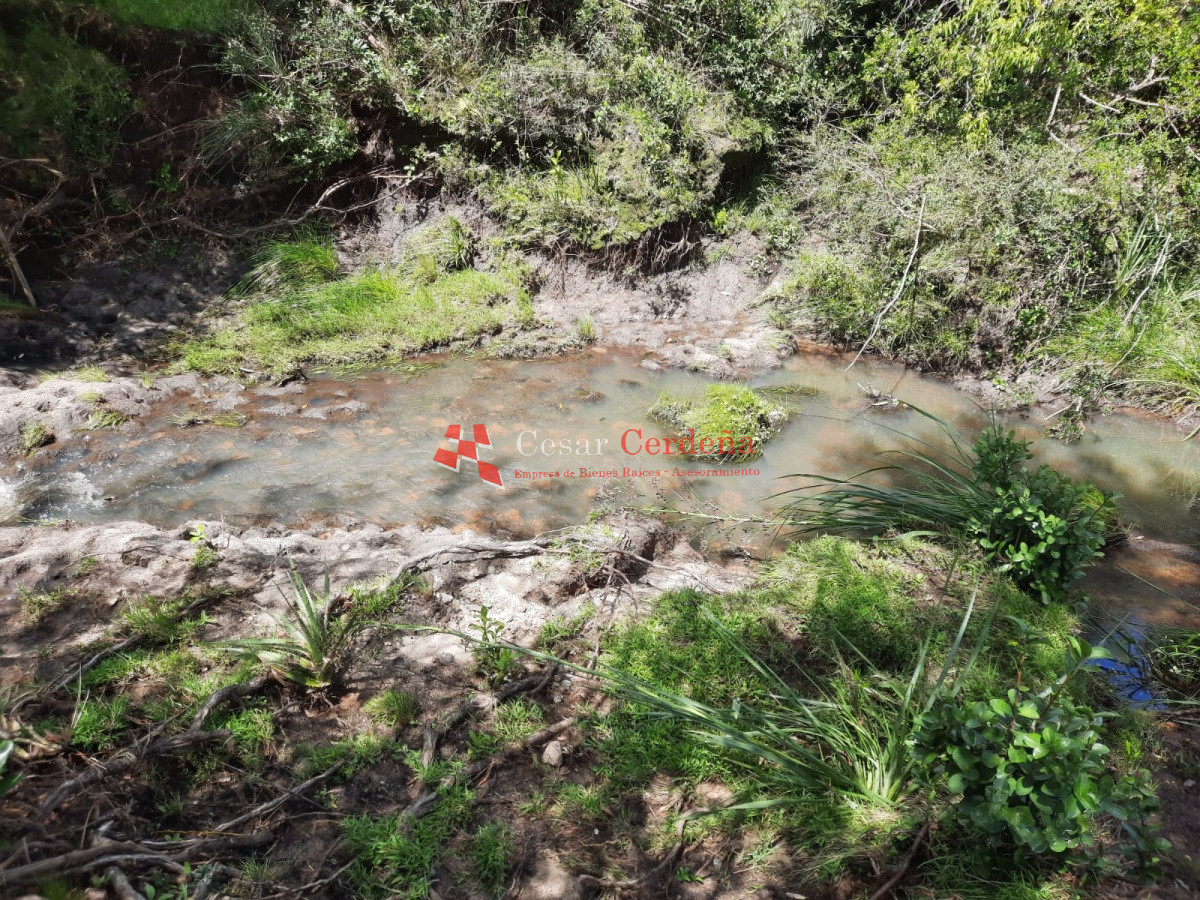 Chacra ID.1830 - LINDA CHACRA DE 5 HAS EN LAS CAÑAS 