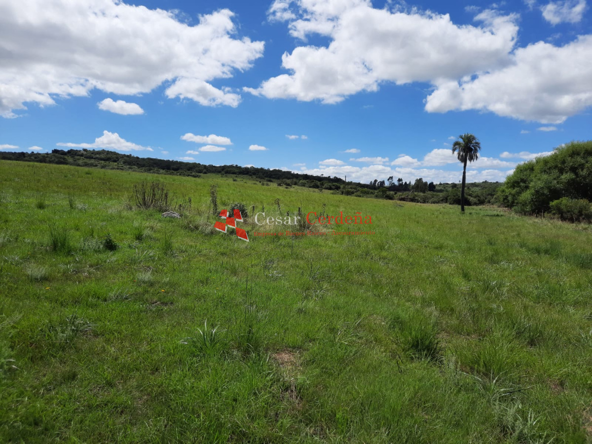 Chacra ID.1830 - LINDA CHACRA DE 5 HAS EN LAS CAÑAS 