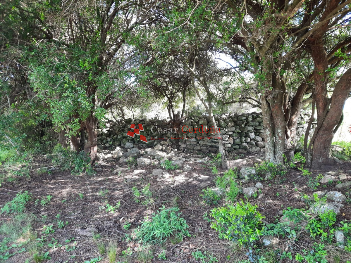 Chacra ID.1830 - LINDA CHACRA DE 5 HAS EN LAS CAÑAS 
