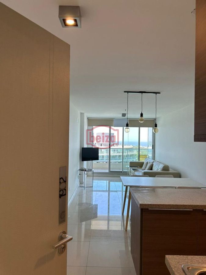 Apartamento ID.165425 - Apartamento en Punta del Este, Roosevelt