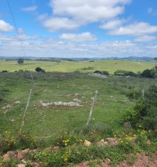 Chacra en Sierra de los Caracoles