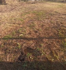 Exelente terreno en VENTA
