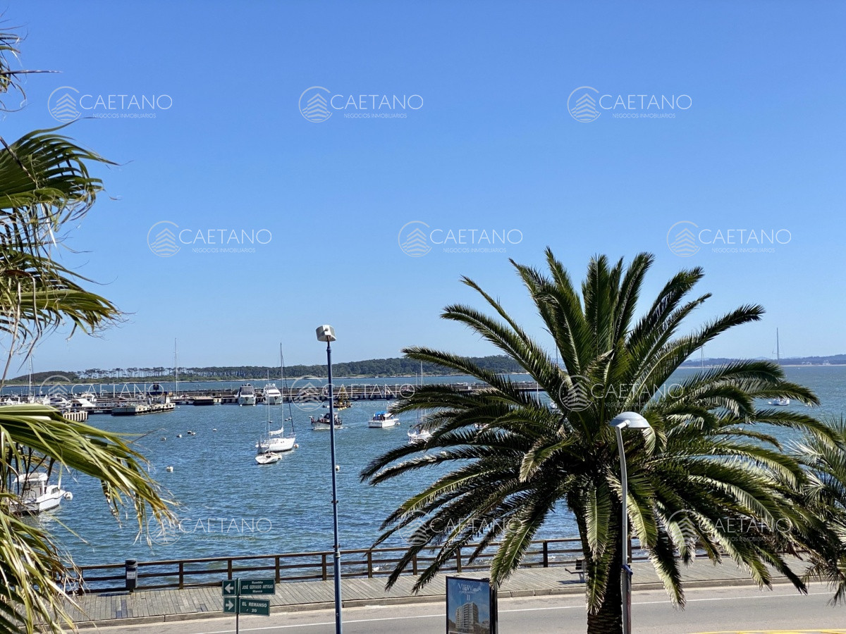 Puerto - GoPunta - Portal Inmobiliario de Punta del Este - Maldonado