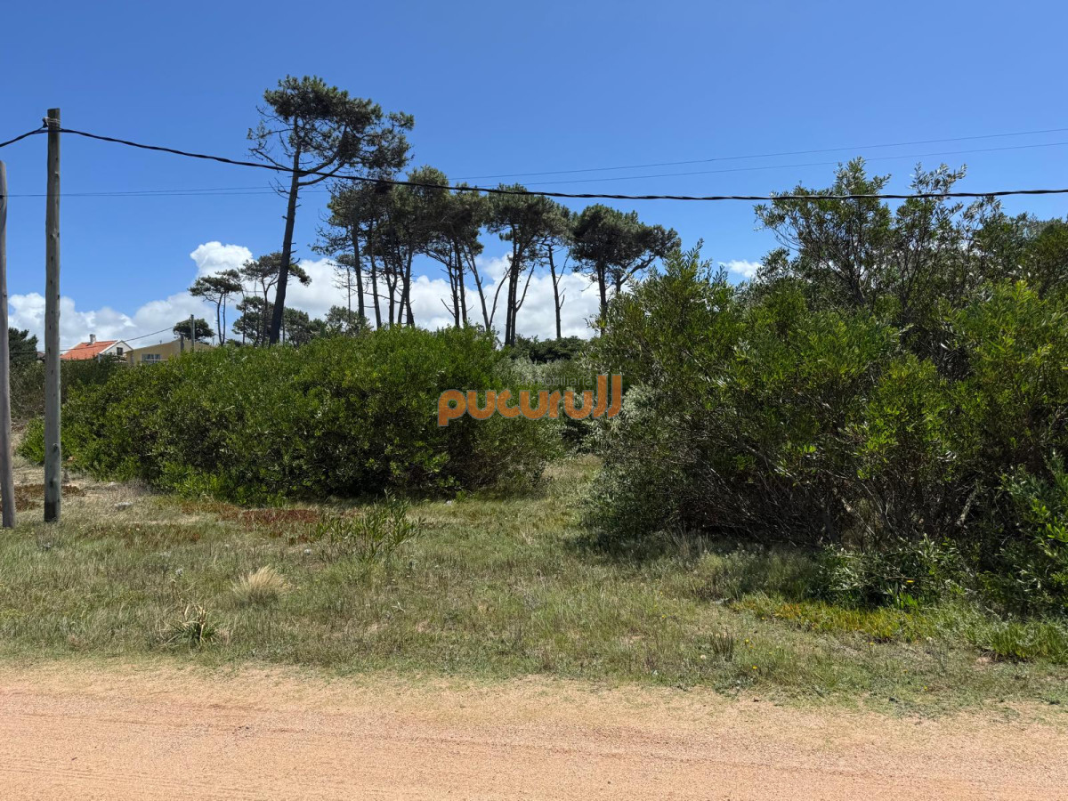 Ocean Park - GoPunta - Portal Inmobiliario de Punta del Este - Maldonado