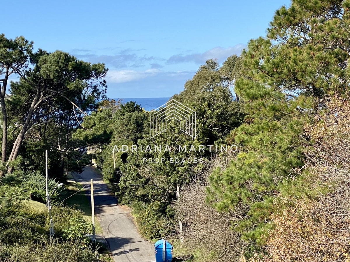 Apartamento ID.69818 - Excelente Penthouse con piscina climatizada privada en Playa Brava 