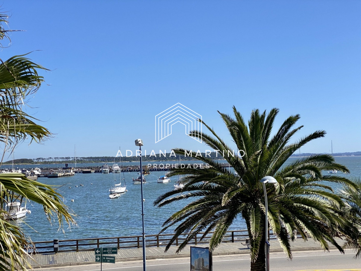 Puerto - GoPunta - Portal Inmobiliario de Punta del Este - Maldonado