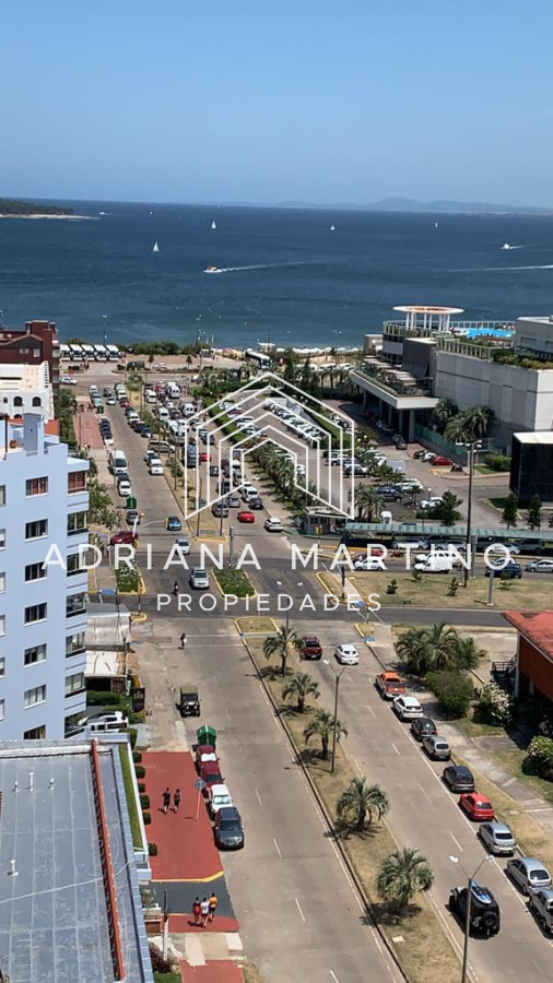 Chiverta - GoPunta - Portal Inmobiliario de Punta del Este - Maldonado