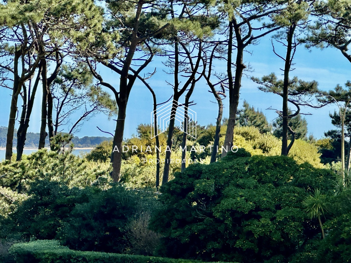 Apartamento ID.67159 - Apartamento en venta - playa mansa, Punta del este 