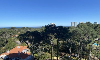 Comodo apartamento en Roosevelt