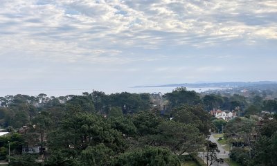 Gran planta con hermosa vista a punta ballena