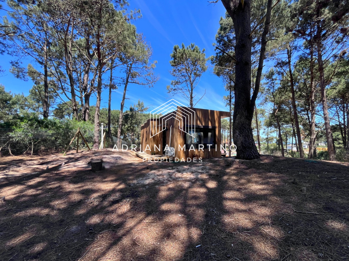 Chihuahua - GoPunta - Portal Inmobiliario de Punta del Este - Maldonado