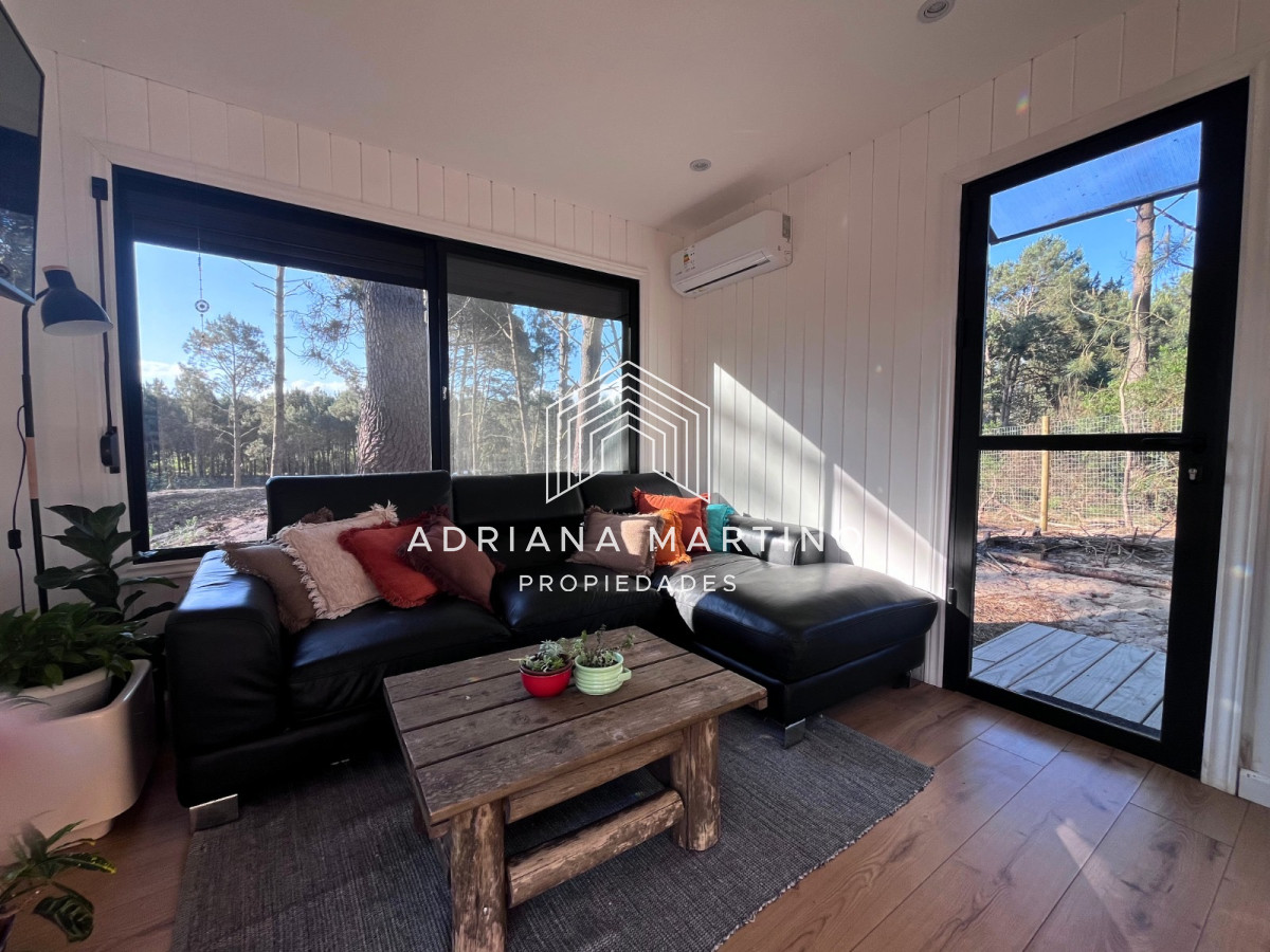 Chihuahua - GoPunta - Portal Inmobiliario de Punta del Este - Maldonado
