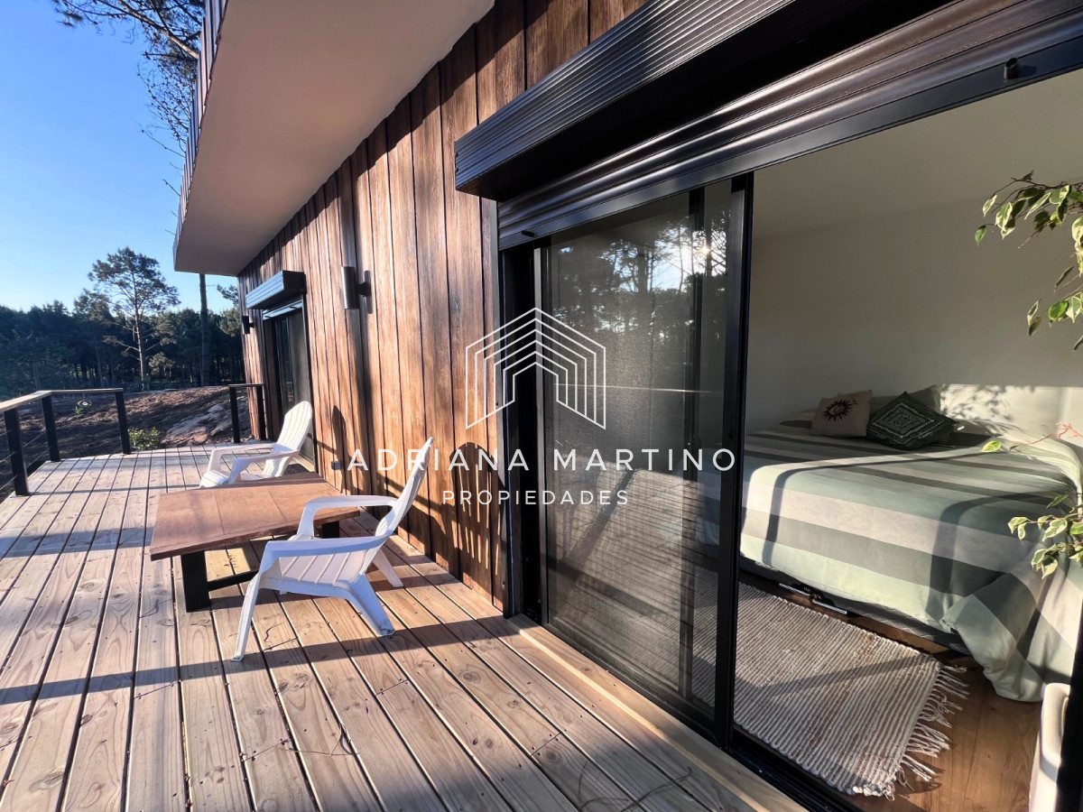 Chihuahua - GoPunta - Portal Inmobiliario de Punta del Este - Maldonado