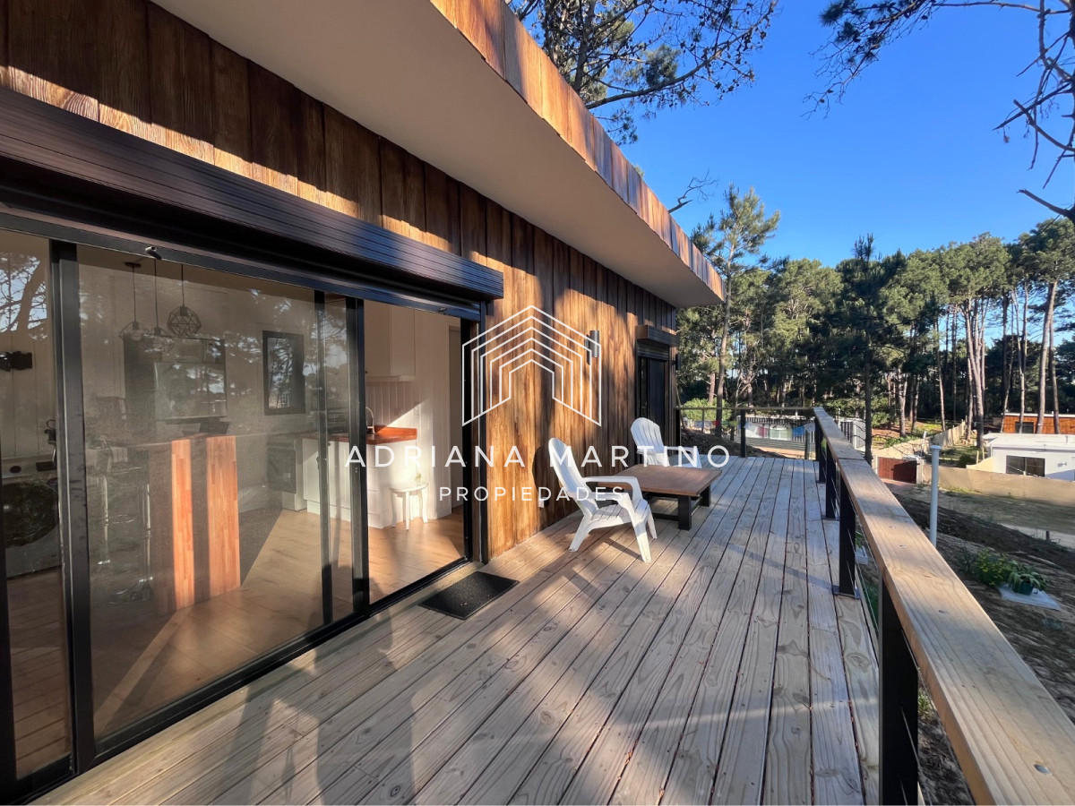 Chihuahua - GoPunta - Portal Inmobiliario de Punta del Este - Maldonado
