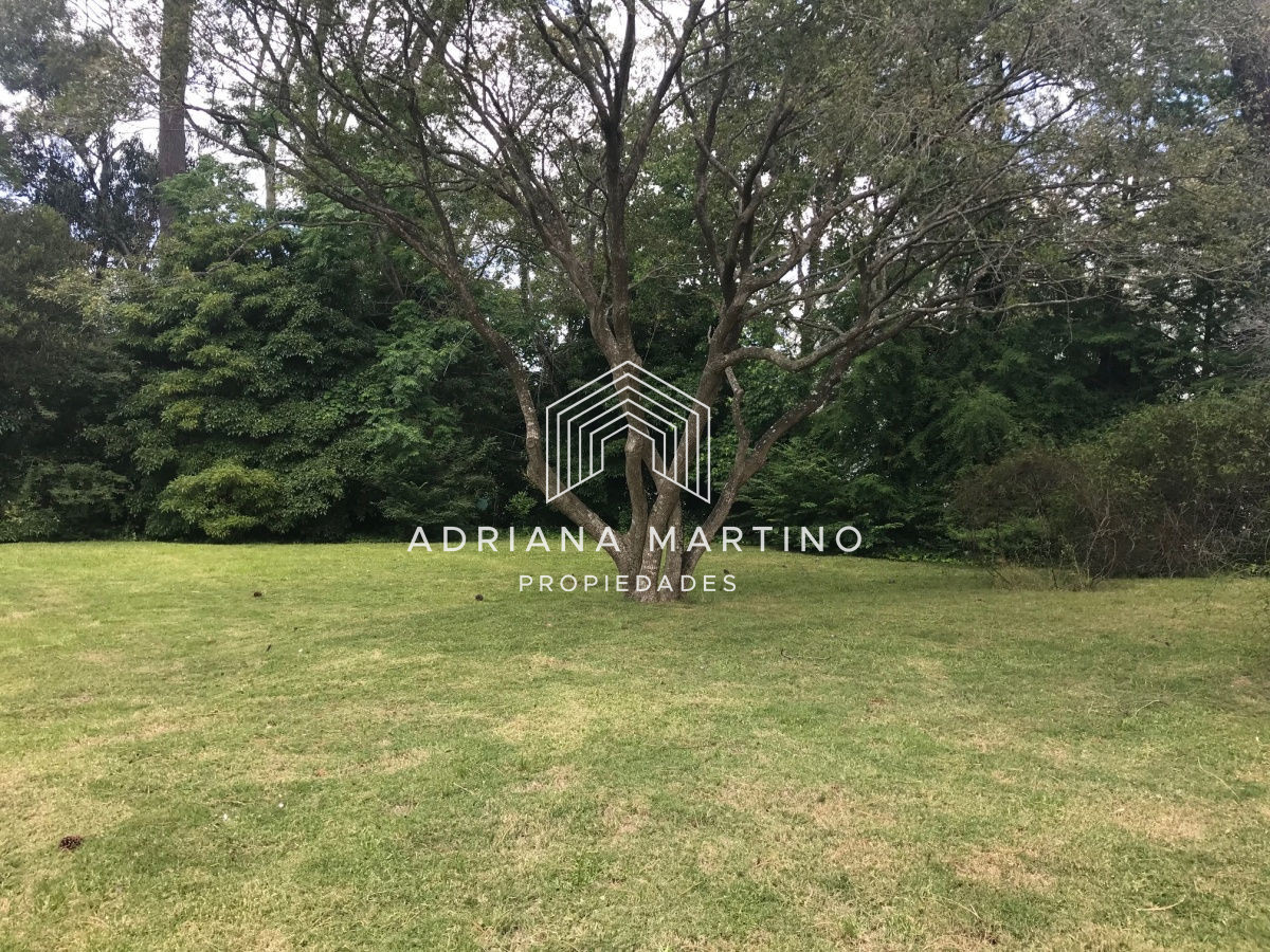 Casa ID.33672 - Casa en Rincón del Indio 4 dormitorios y dependencia con piscina y parrillero